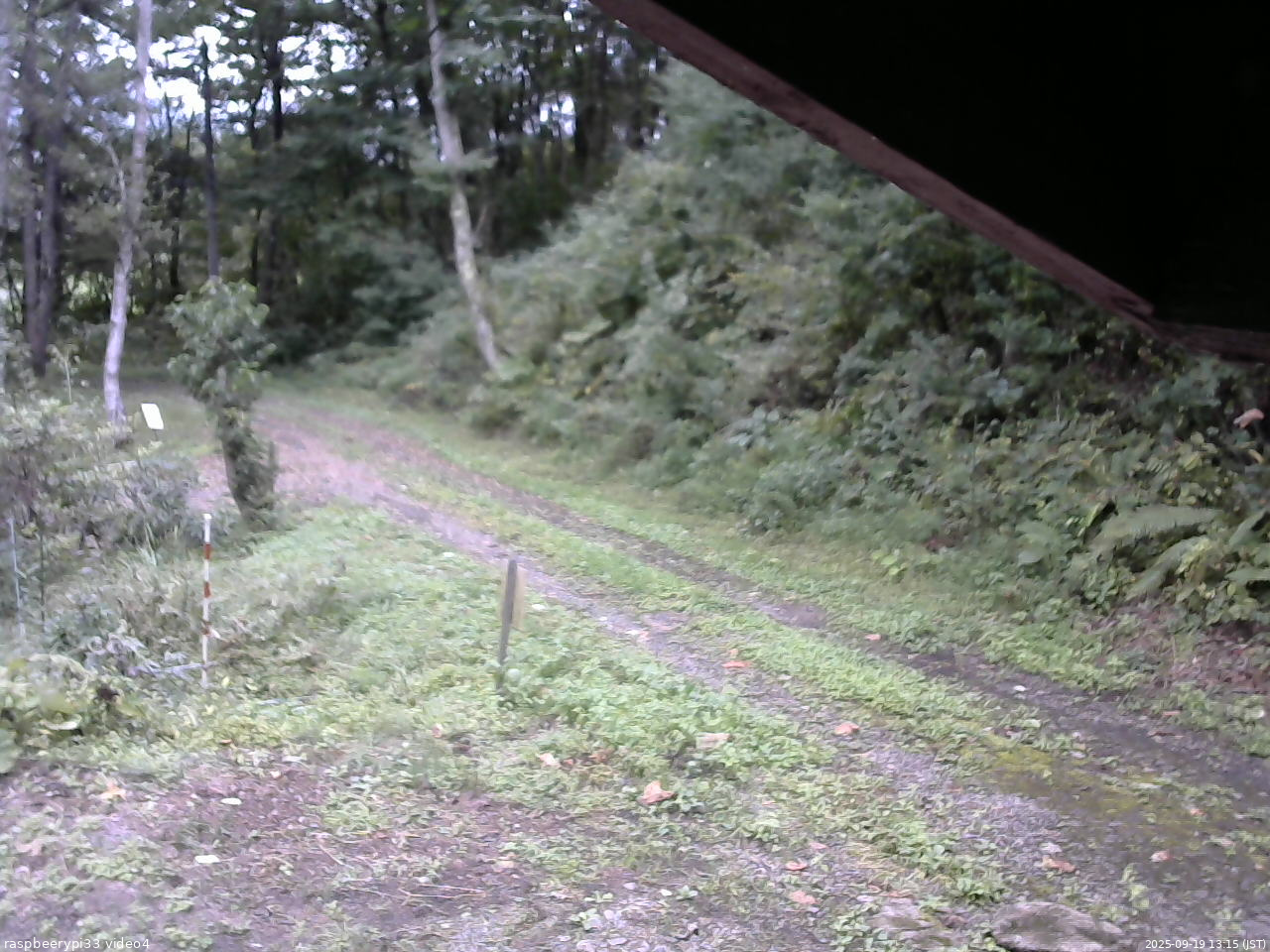 長野県菅平高原 ゆたか山荘 東側(坂下) 2025/09/19 13:15