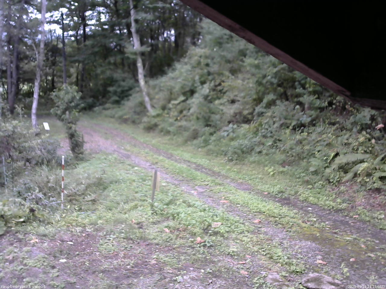 長野県菅平高原 ゆたか山荘 東側(坂下) 2025/09/19 14:15