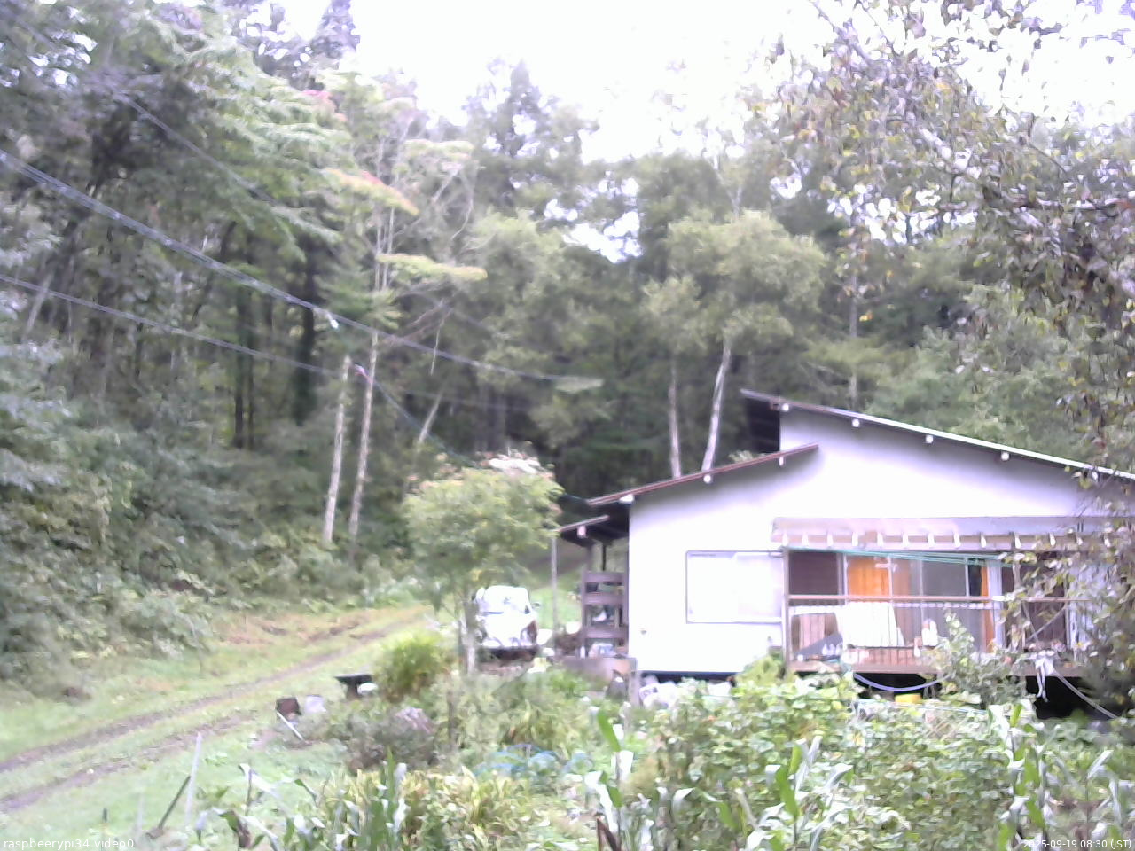 長野県菅平高原 ゆたか山荘 西側(坂上) 2025/09/19 08:30