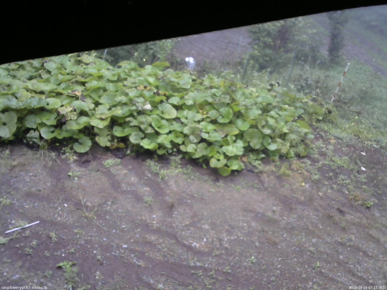 長野県菅平高原 ゆたか山荘 駐車場 2025/09/19 07:15