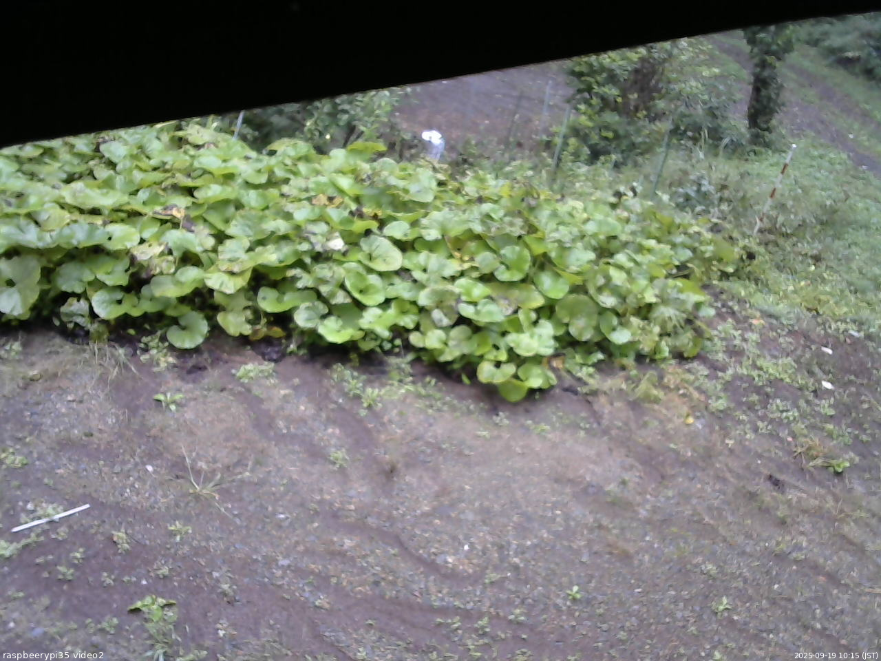 長野県菅平高原 ゆたか山荘 駐車場 2025/09/19 10:15