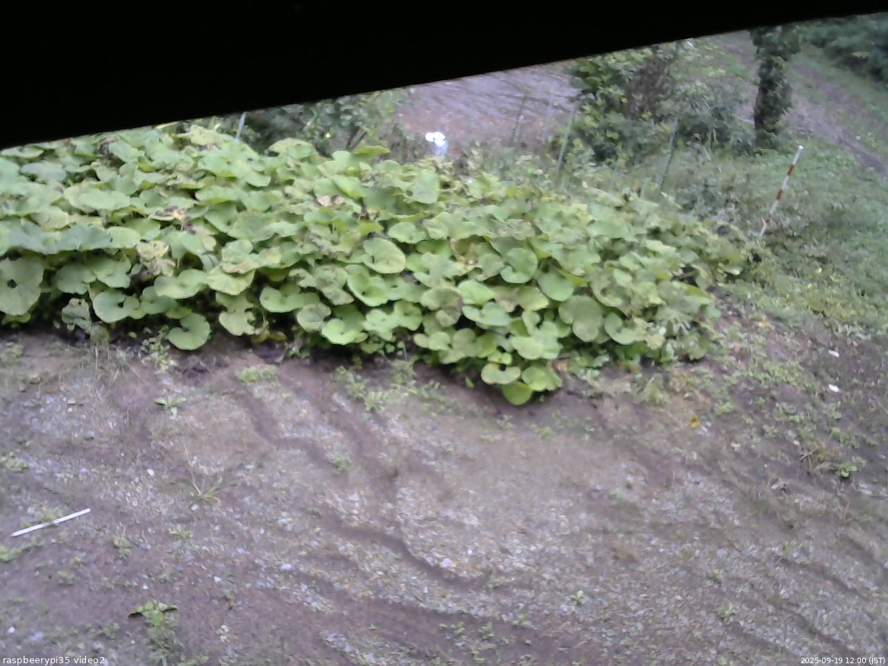 長野県菅平高原 ゆたか山荘 駐車場 2025/09/19 12:00