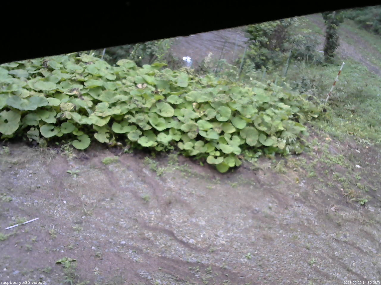 長野県菅平高原 ゆたか山荘 駐車場 2025/09/19 14:30