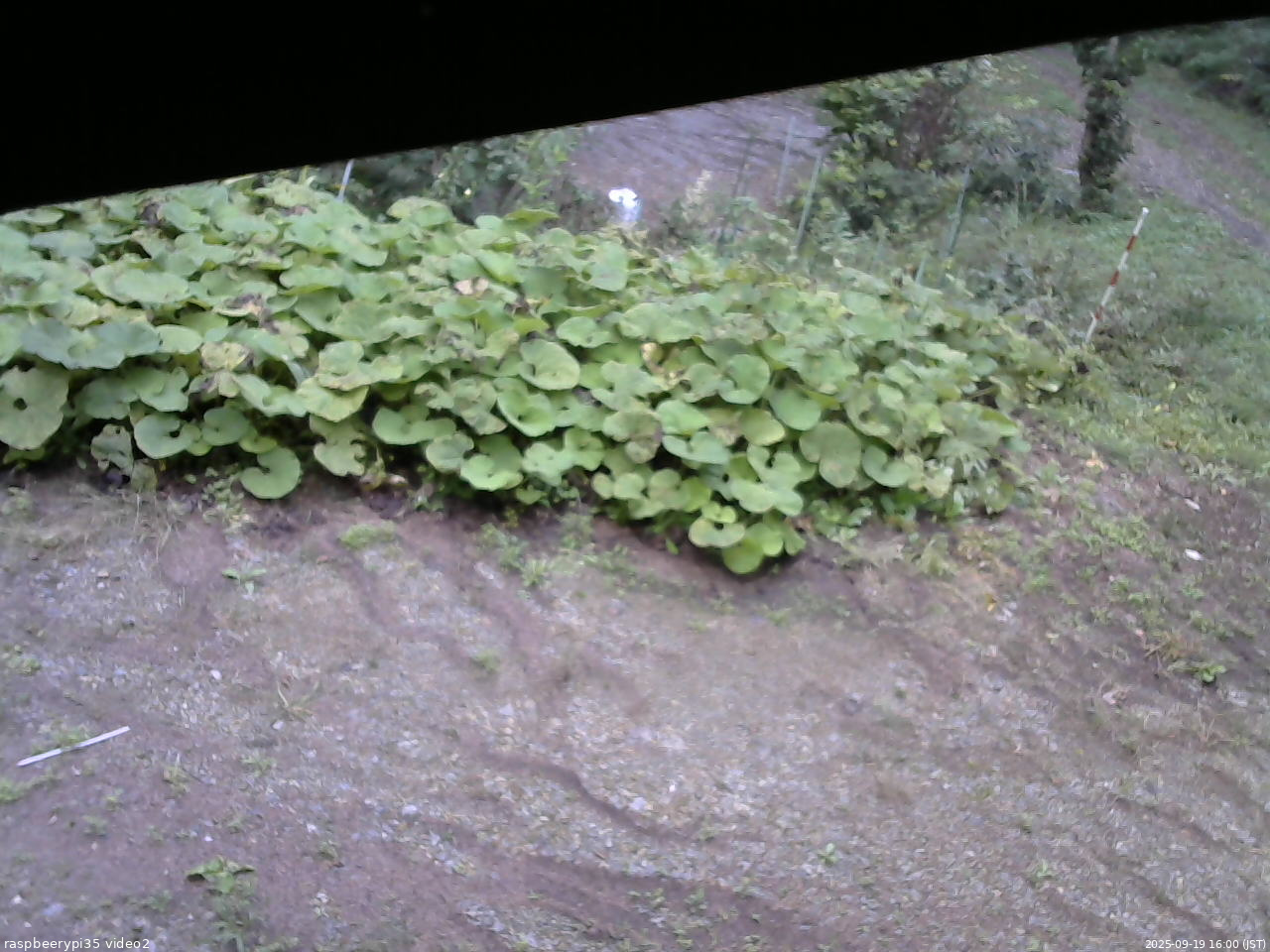 長野県菅平高原 ゆたか山荘 駐車場 2025/09/19 16:00