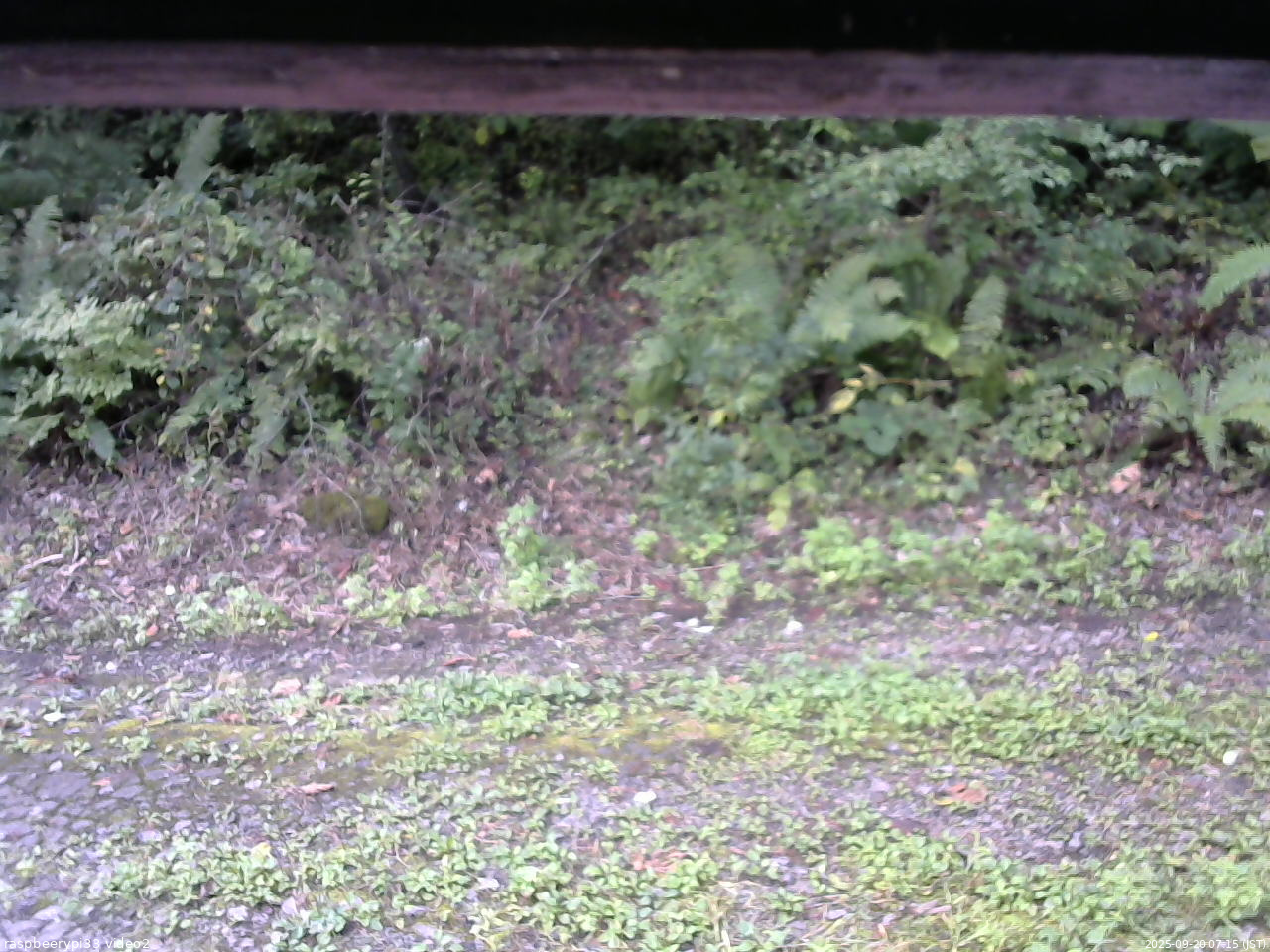 長野県菅平高原 ゆたか山荘 南側 2025/09/20 07:15