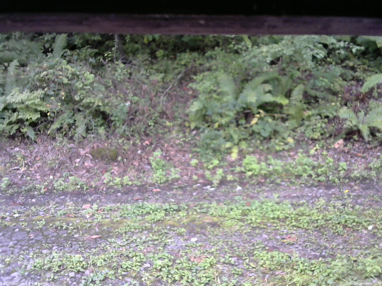 長野県菅平高原 ゆたか山荘 南側 2025/09/20 09:00