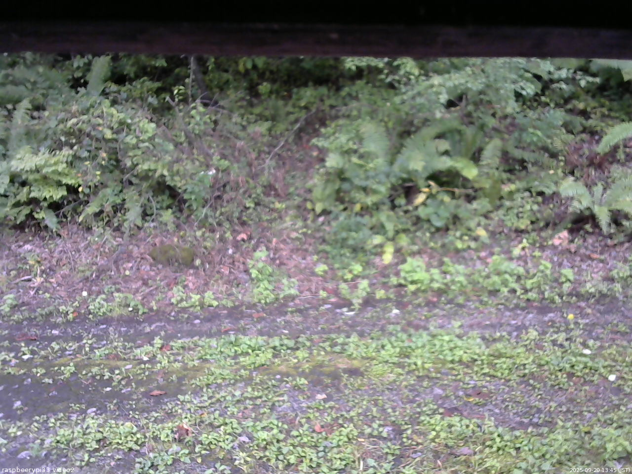 長野県菅平高原 ゆたか山荘 南側 2025/09/20 13:45