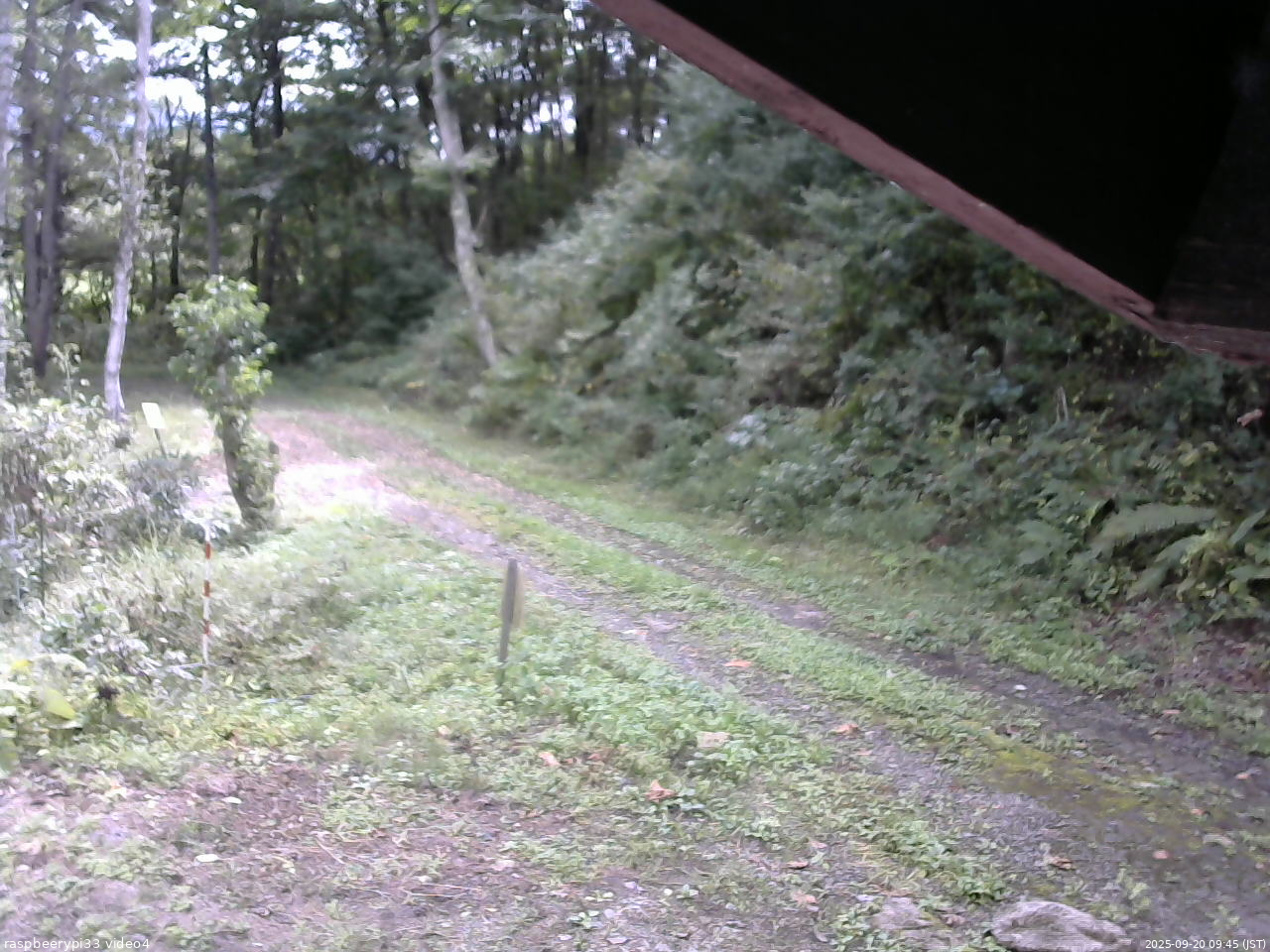 長野県菅平高原 ゆたか山荘 東側(坂下) 2025/09/20 09:45