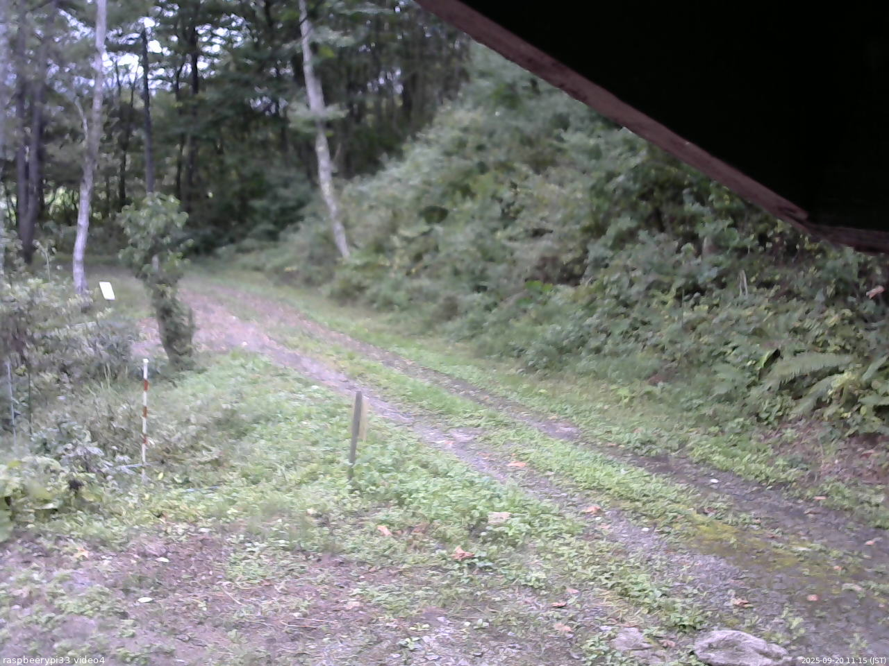 長野県菅平高原 ゆたか山荘 東側(坂下) 2025/09/20 11:15