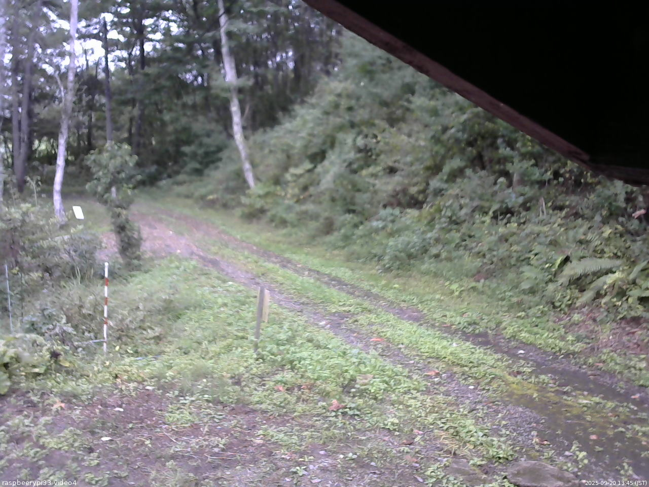 長野県菅平高原 ゆたか山荘 東側(坂下) 2025/09/20 13:45