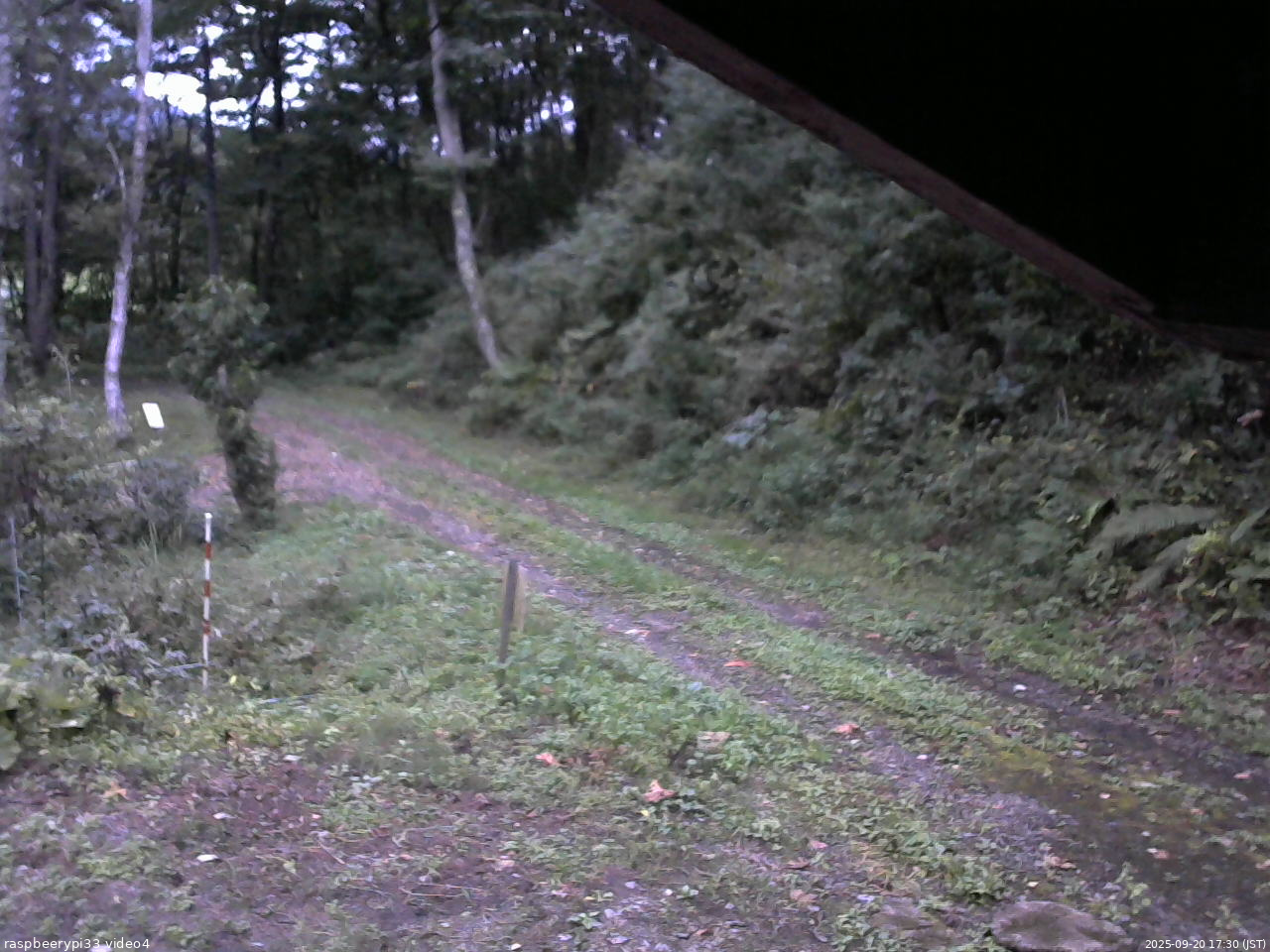 長野県菅平高原 ゆたか山荘 東側(坂下) 2025/09/20 17:30