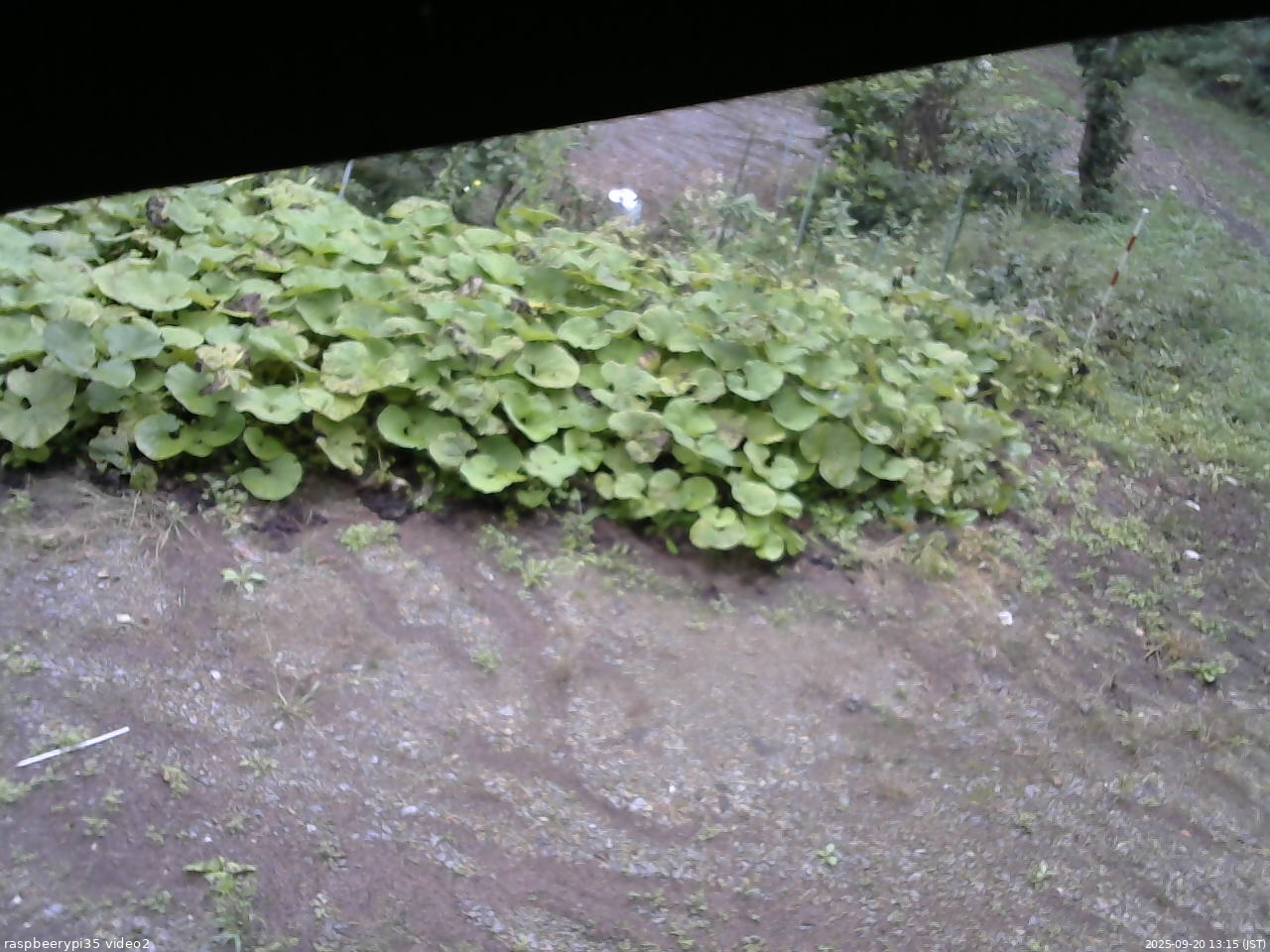 長野県菅平高原 ゆたか山荘 駐車場 2025/09/20 13:15