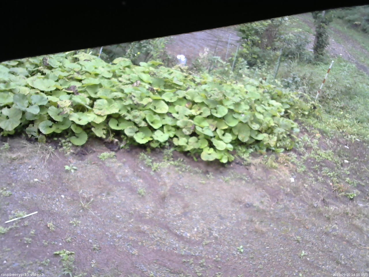 長野県菅平高原 ゆたか山荘 駐車場 2025/09/20 14:00