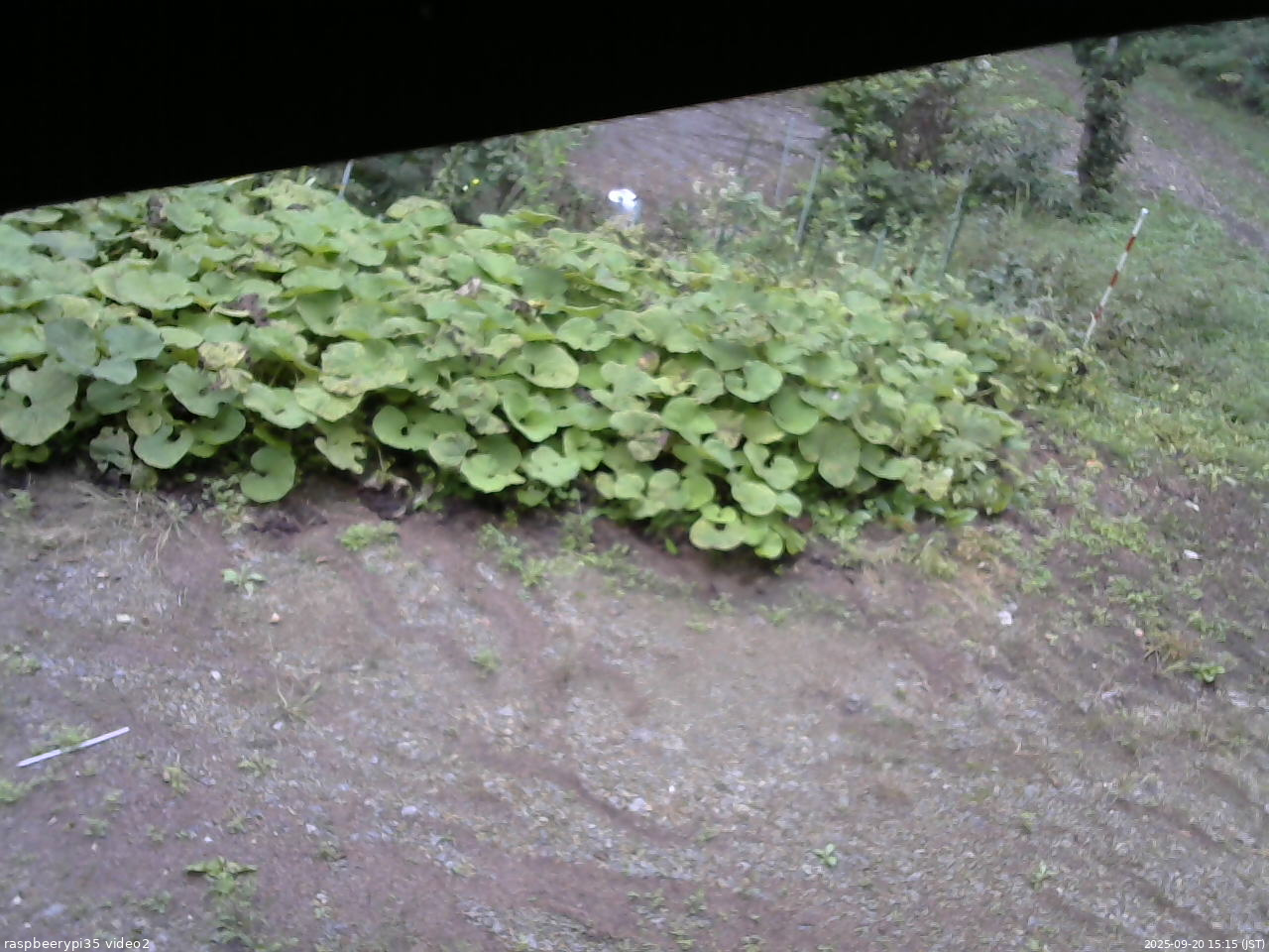 長野県菅平高原 ゆたか山荘 駐車場 2025/09/20 15:15