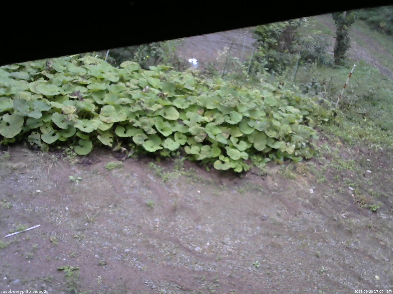 長野県菅平高原 ゆたか山荘 駐車場 2025/09/20 17:00