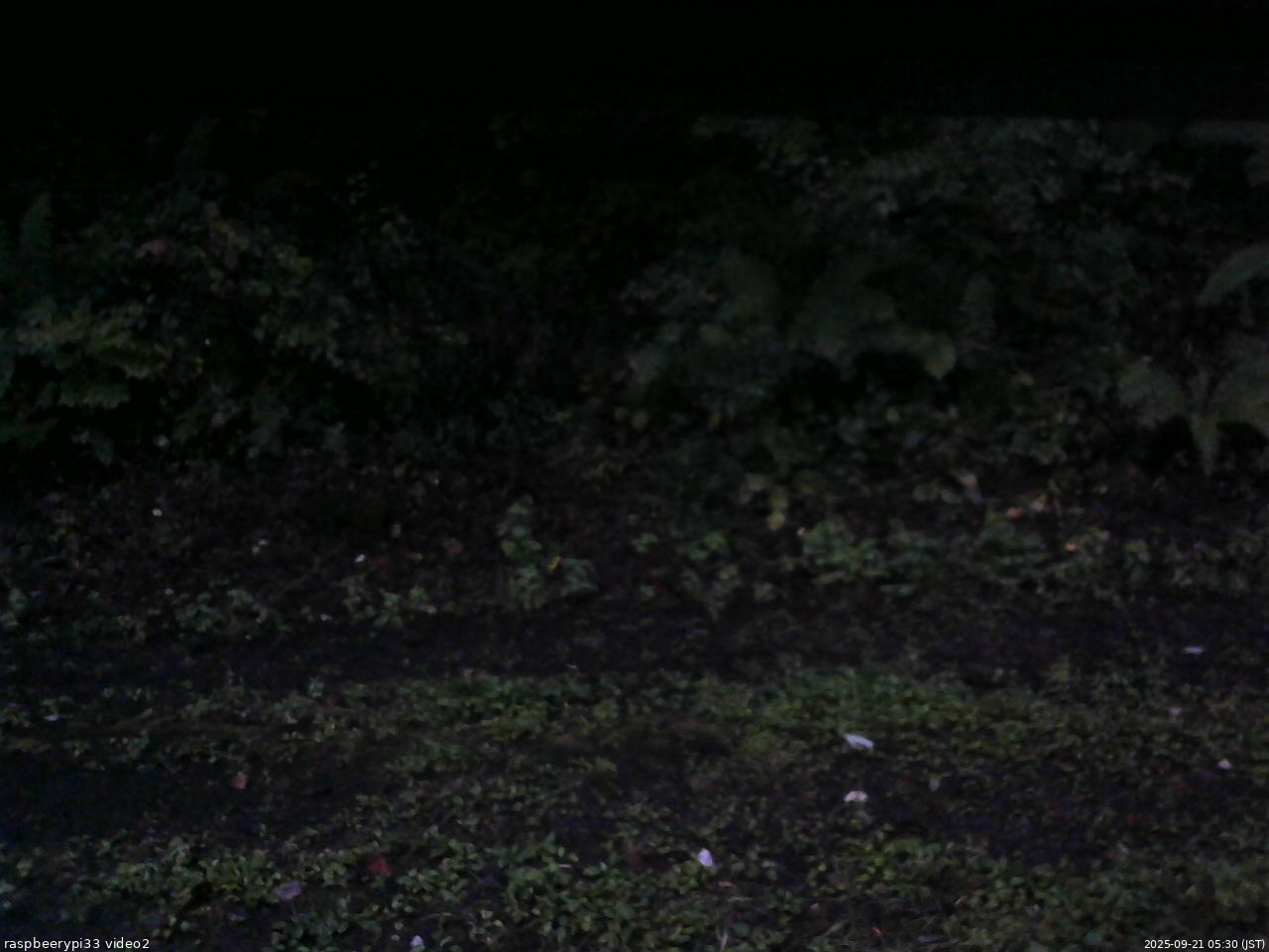 長野県菅平高原 ゆたか山荘 南側 2025/09/21 05:30