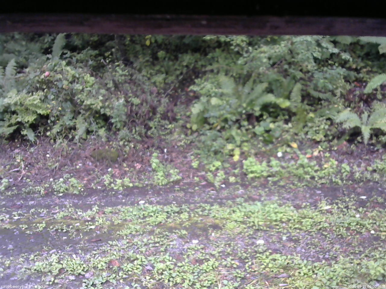 長野県菅平高原 ゆたか山荘 南側 2025/09/21 09:00