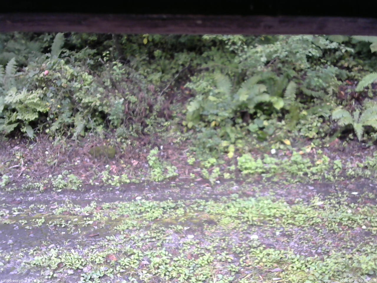長野県菅平高原 ゆたか山荘 南側 2025/09/21 09:45
