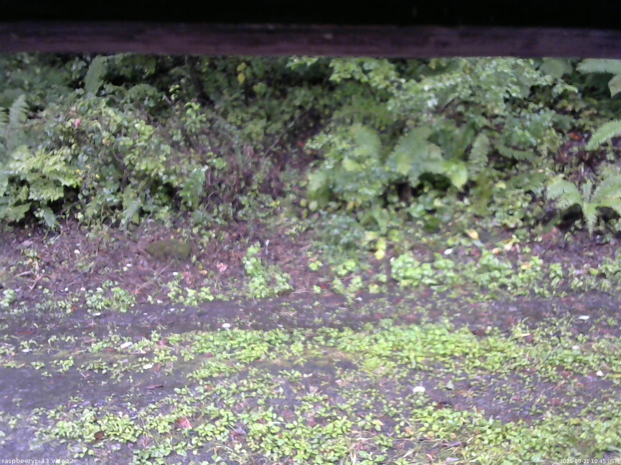 長野県菅平高原 ゆたか山荘 南側 2025/09/21 10:45