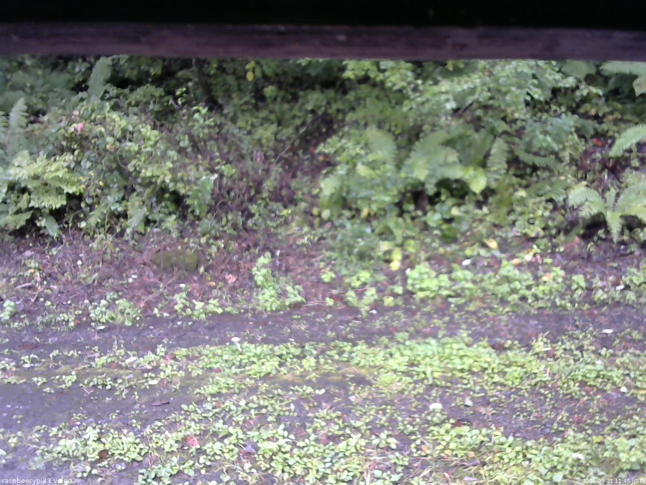 長野県菅平高原 ゆたか山荘 南側 2025/09/21 11:45