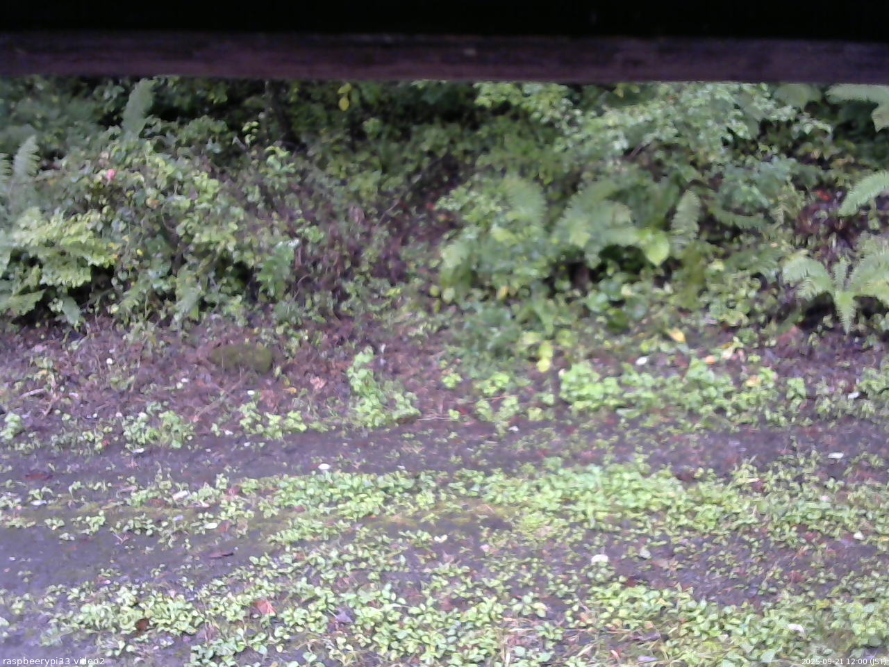 長野県菅平高原 ゆたか山荘 南側 2025/09/21 12:00