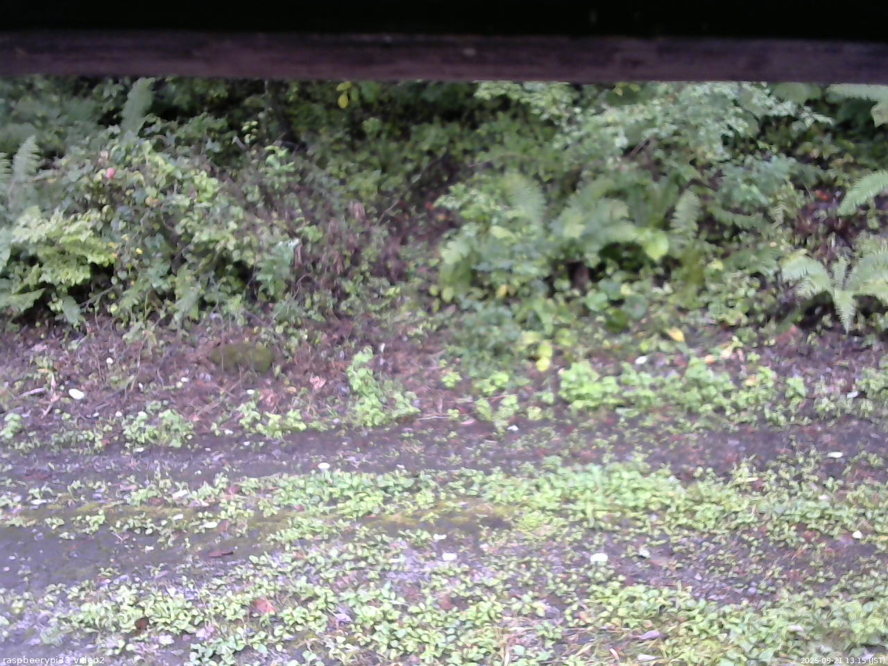 長野県菅平高原 ゆたか山荘 南側 2025/09/21 13:15