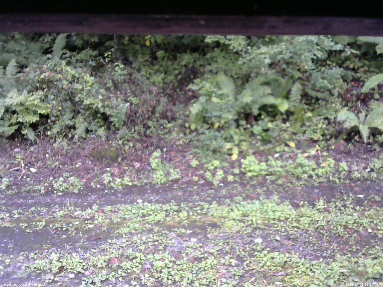 長野県菅平高原 ゆたか山荘 南側 2025/09/21 13:30
