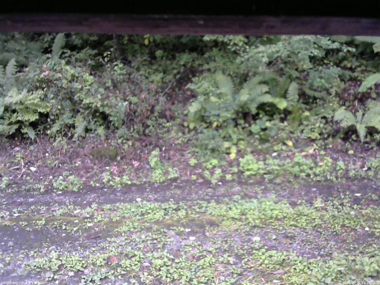 長野県菅平高原 ゆたか山荘 南側 2025/09/21 15:15