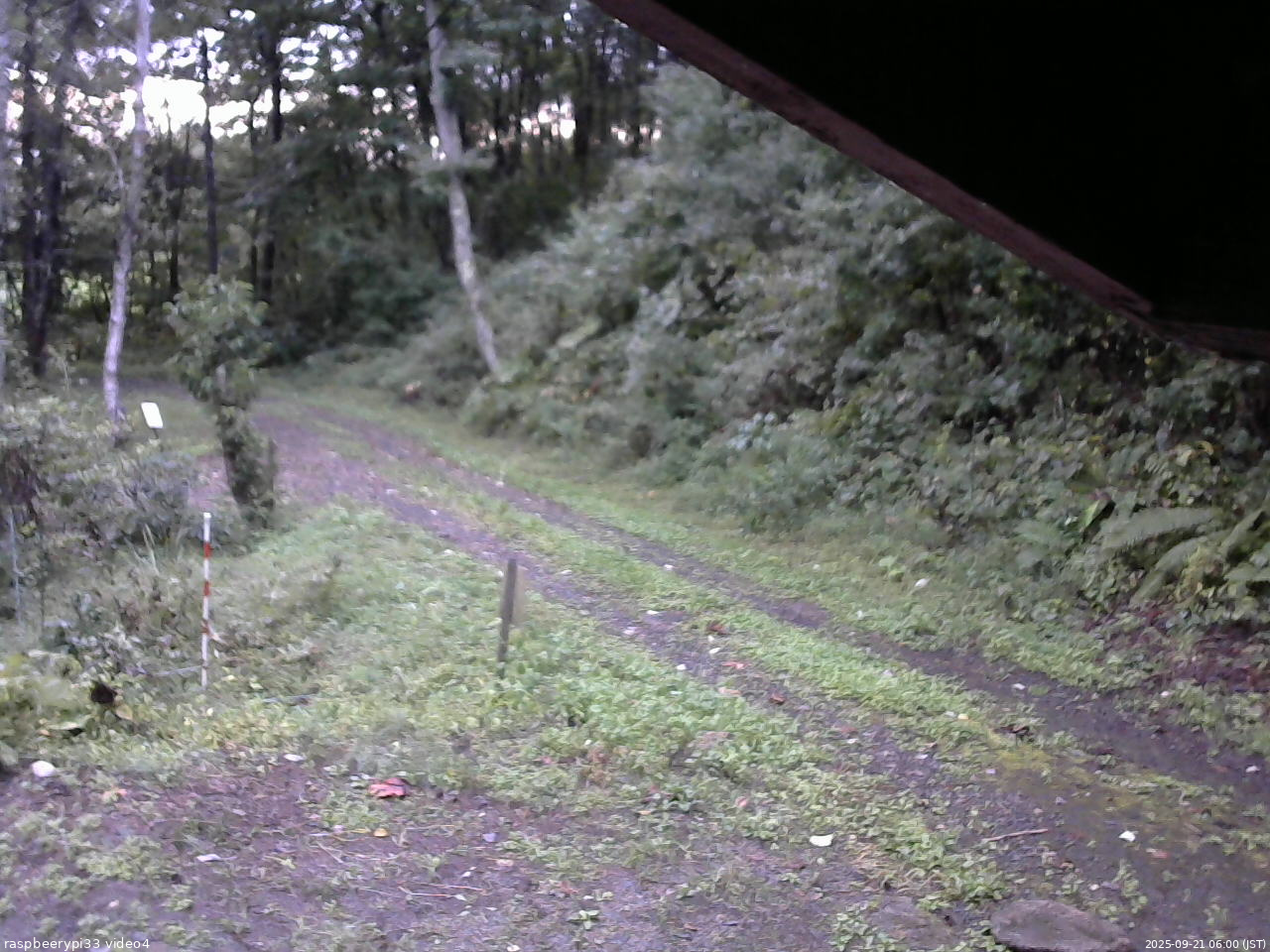 長野県菅平高原 ゆたか山荘 東側(坂下) 2025/09/21 06:00