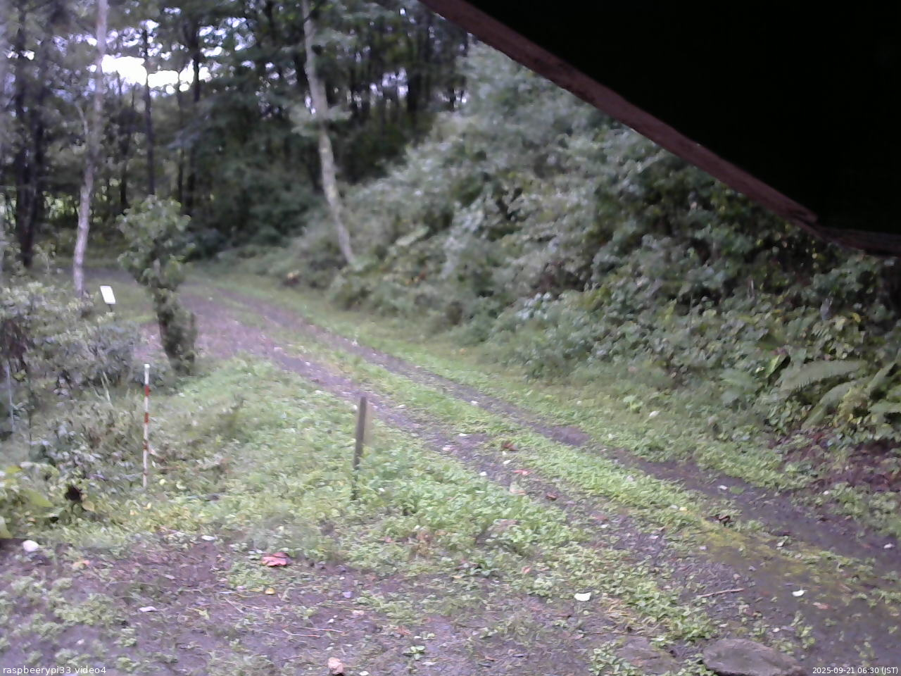 長野県菅平高原 ゆたか山荘 東側(坂下) 2025/09/21 06:30