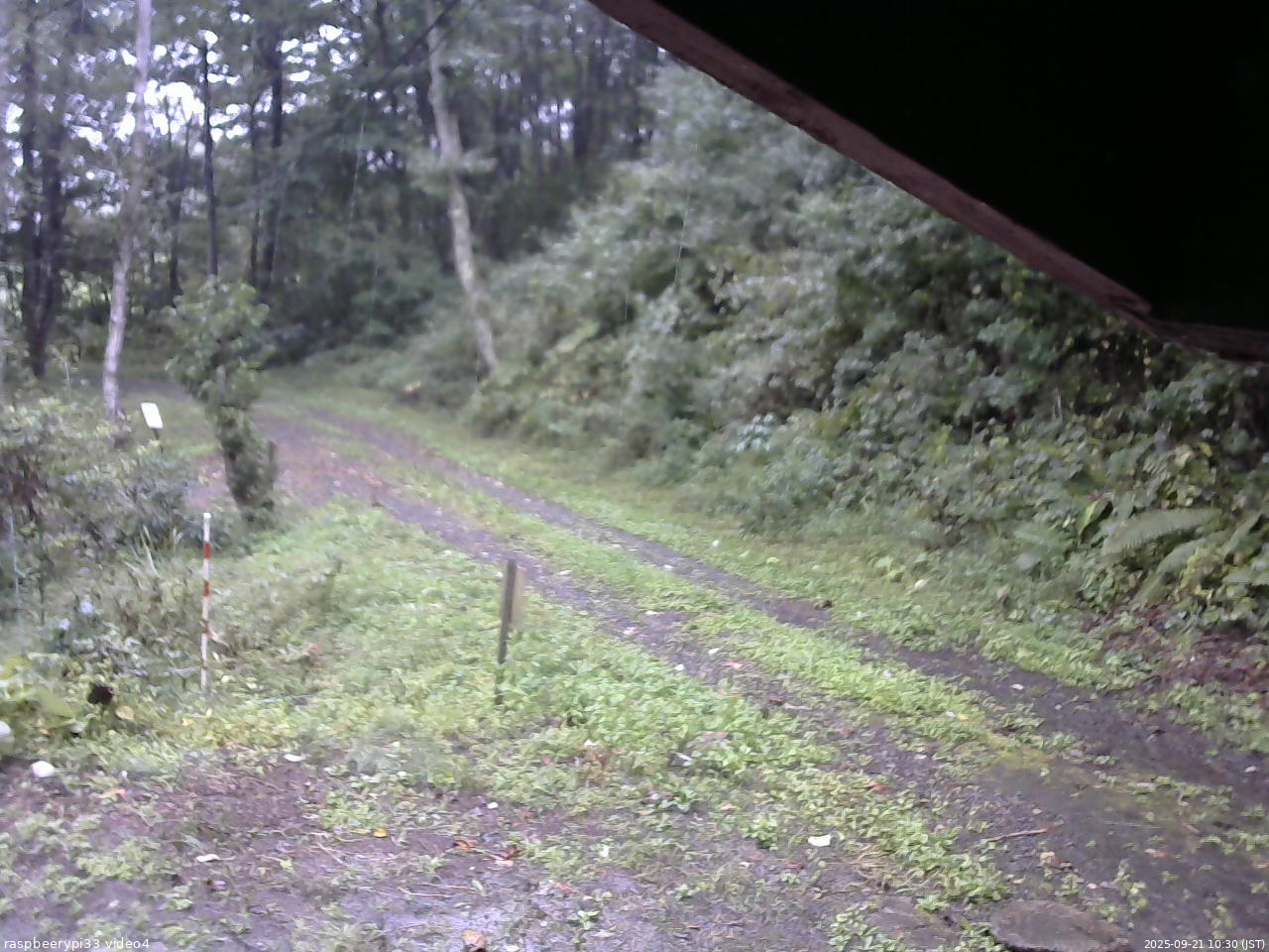 長野県菅平高原 ゆたか山荘 東側(坂下) 2025/09/21 10:30