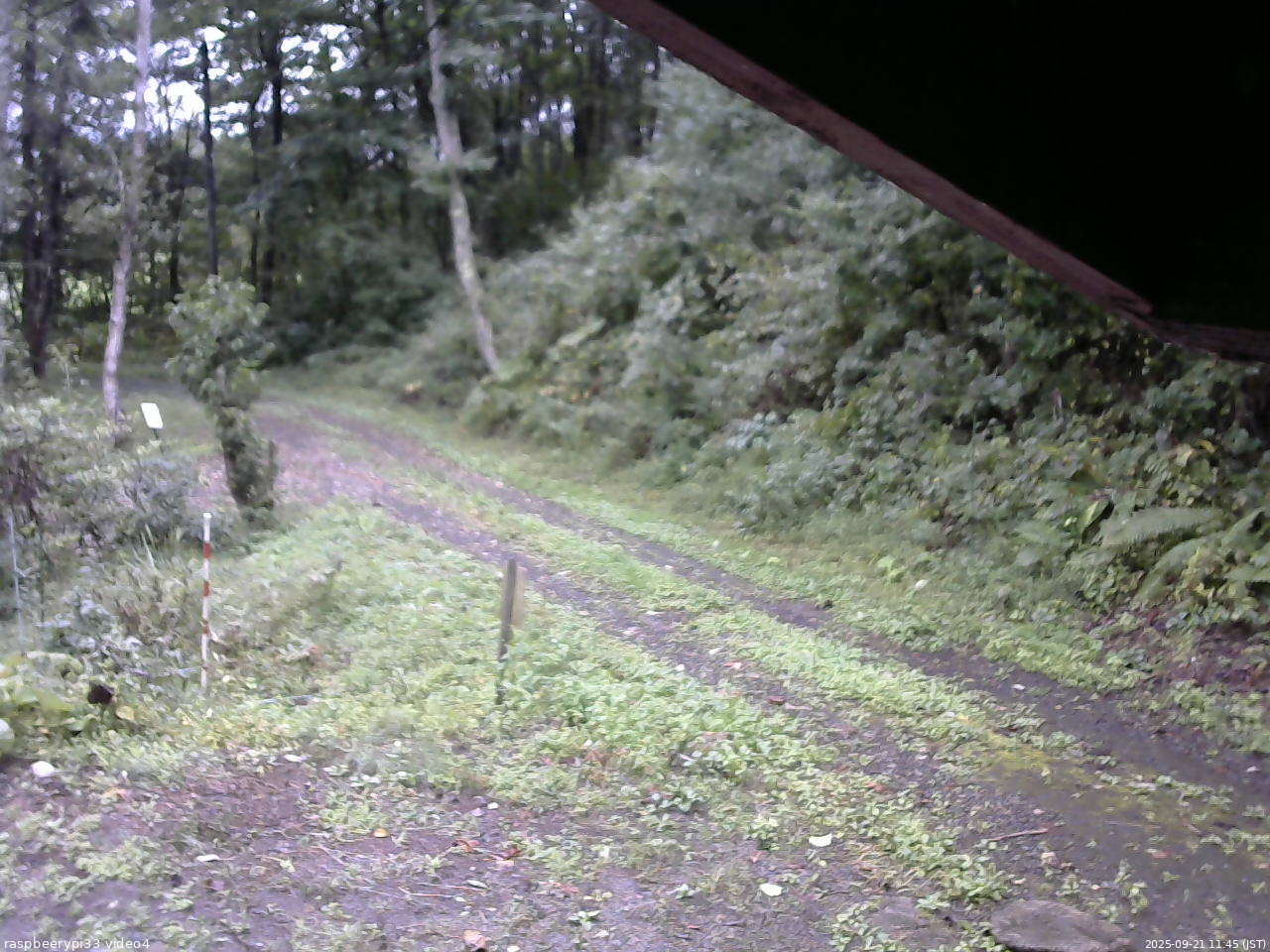 長野県菅平高原 ゆたか山荘 東側(坂下) 2025/09/21 11:45