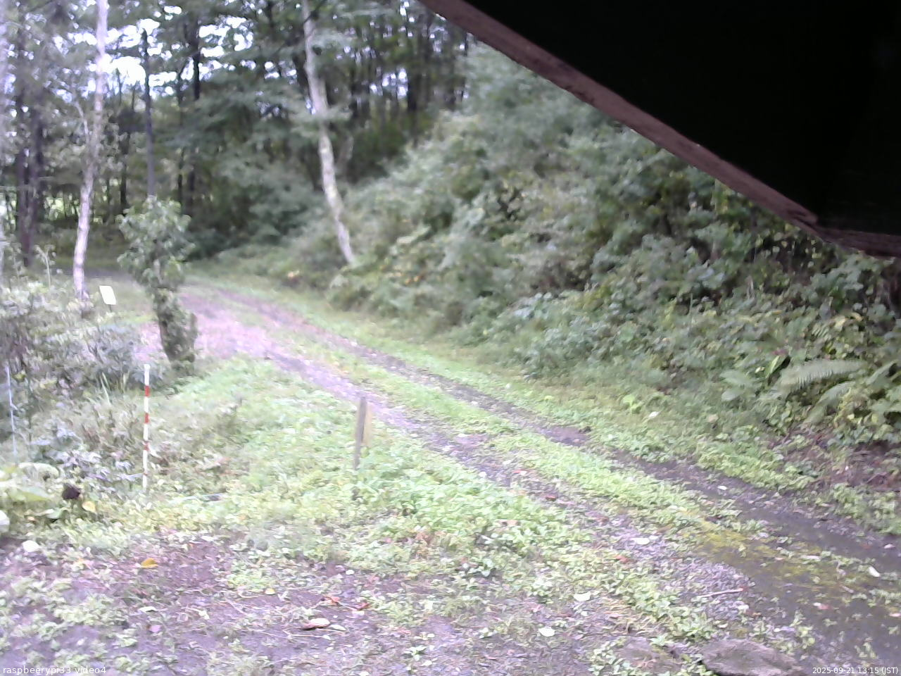 長野県菅平高原 ゆたか山荘 東側(坂下) 2025/09/21 13:15