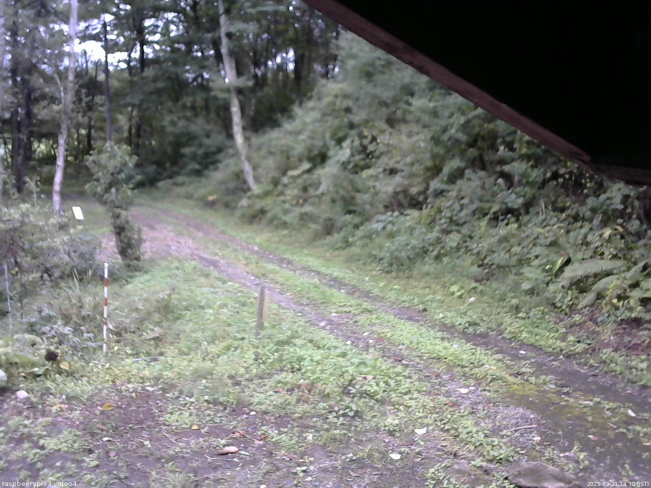 長野県菅平高原 ゆたか山荘 東側(坂下) 2025/09/21 14:30