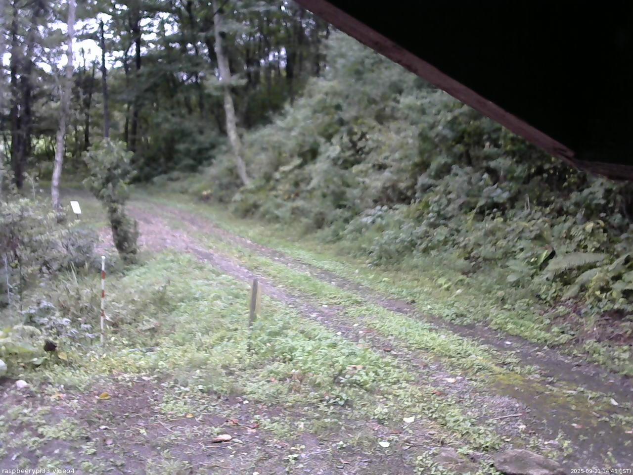 長野県菅平高原 ゆたか山荘 東側(坂下) 2025/09/21 14:45