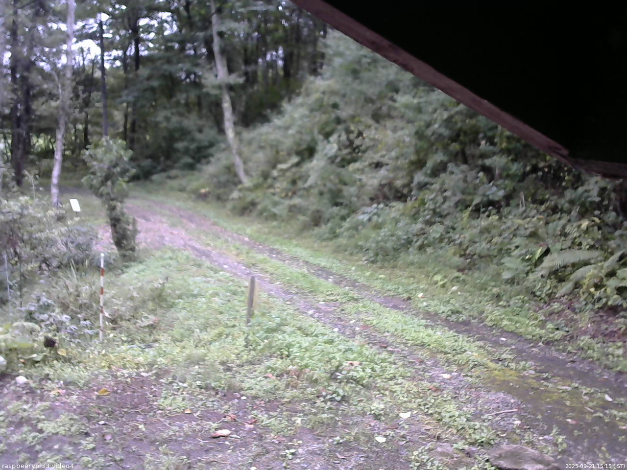 長野県菅平高原 ゆたか山荘 東側(坂下) 2025/09/21 15:15