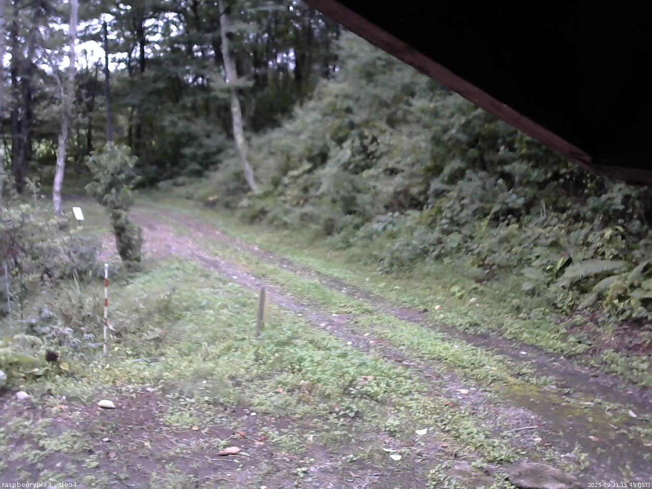 長野県菅平高原 ゆたか山荘 東側(坂下) 2025/09/21 15:45