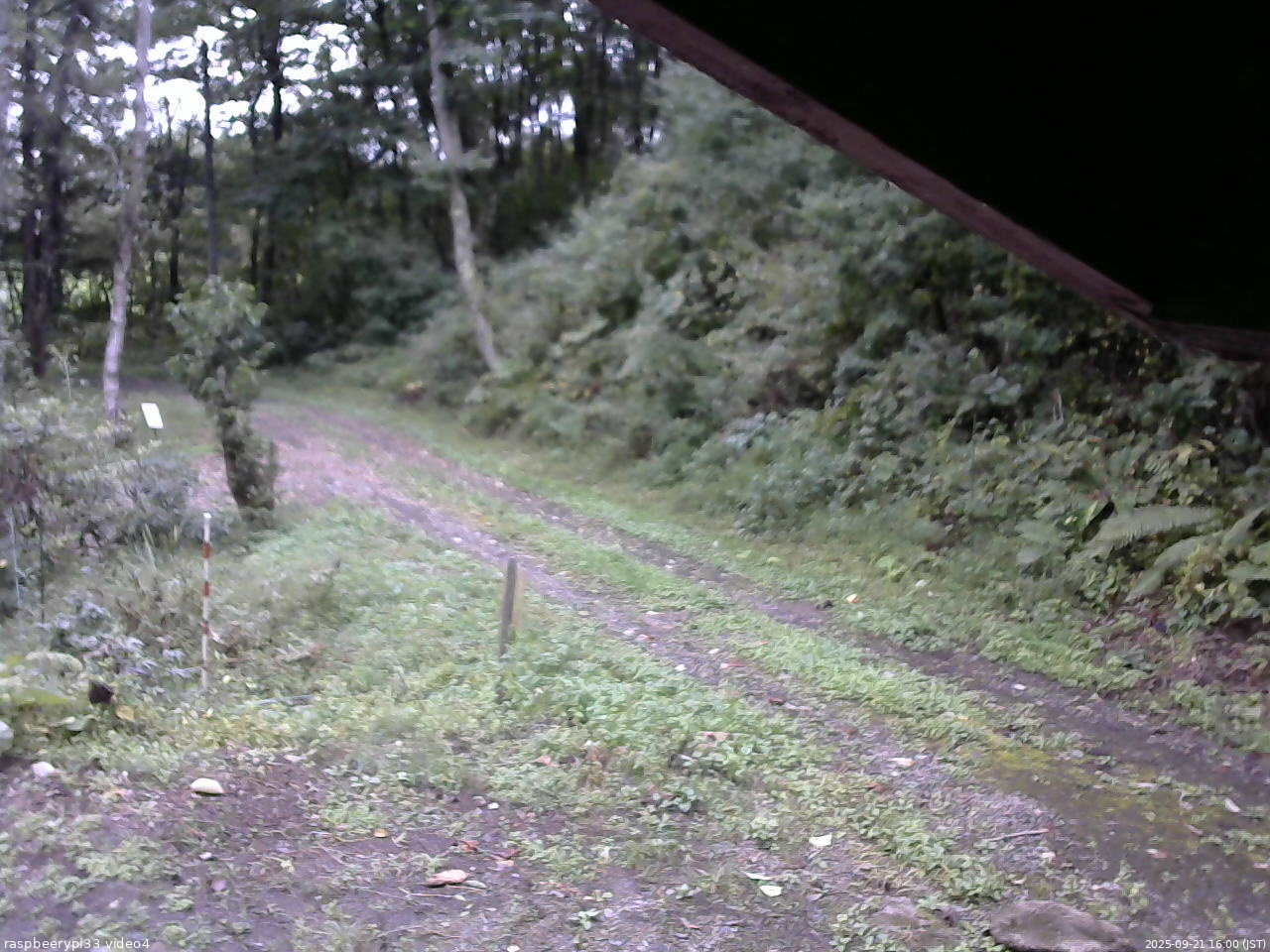 長野県菅平高原 ゆたか山荘 東側(坂下) 2025/09/21 16:00