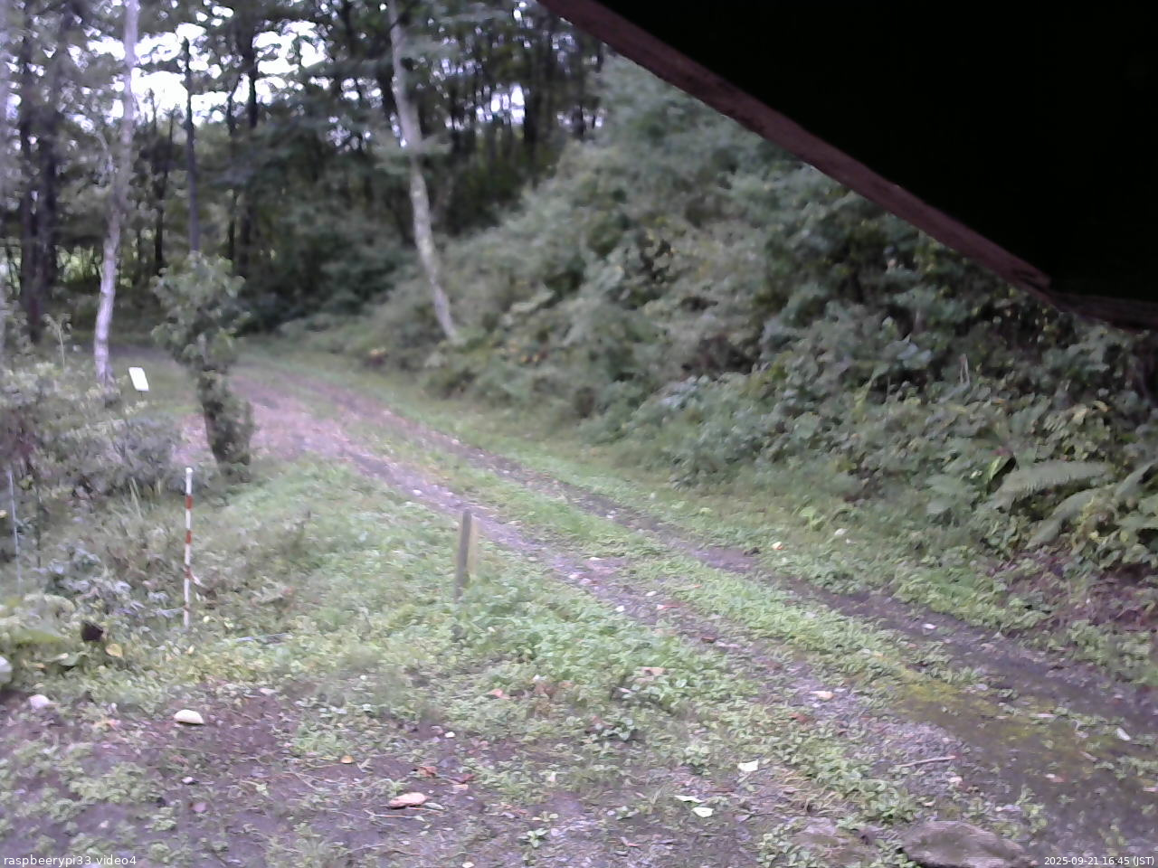長野県菅平高原 ゆたか山荘 東側(坂下) 2025/09/21 16:45