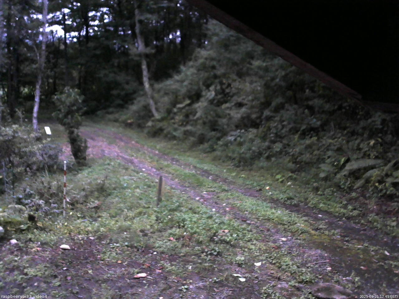 長野県菅平高原 ゆたか山荘 東側(坂下) 2025/09/21 17:45