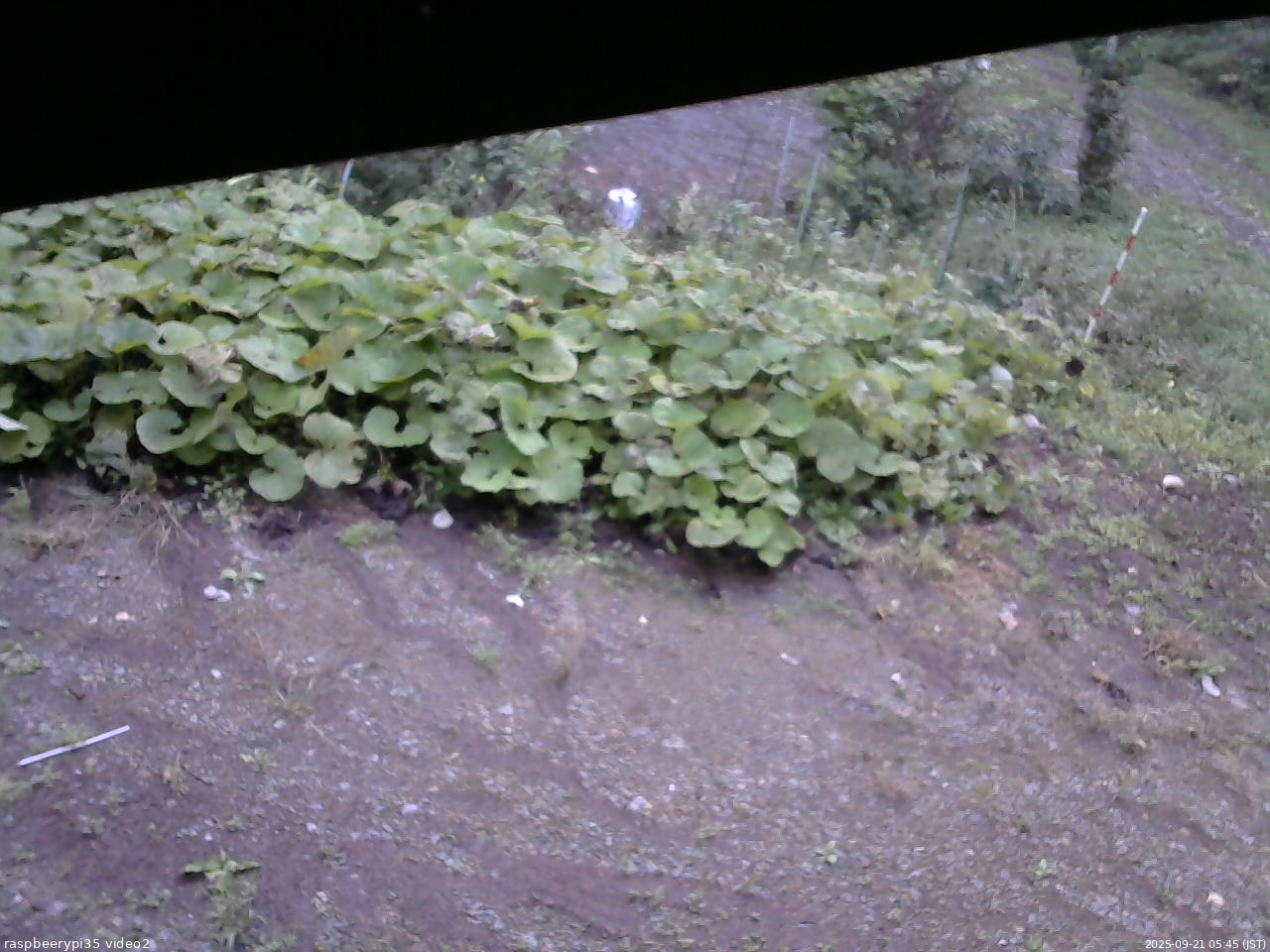 長野県菅平高原 ゆたか山荘 駐車場 2025/09/21 05:45