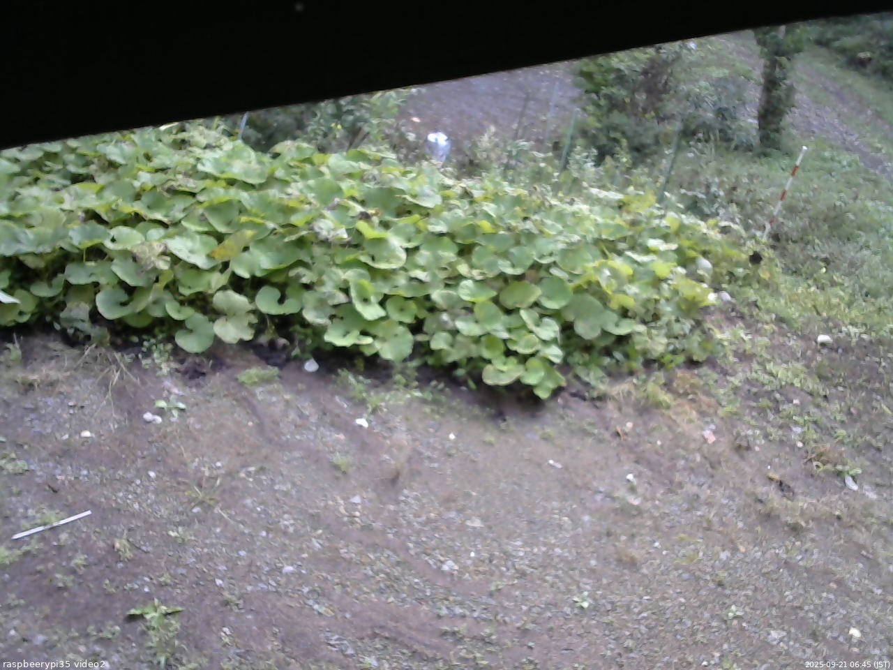 長野県菅平高原 ゆたか山荘 駐車場 2025/09/21 06:45