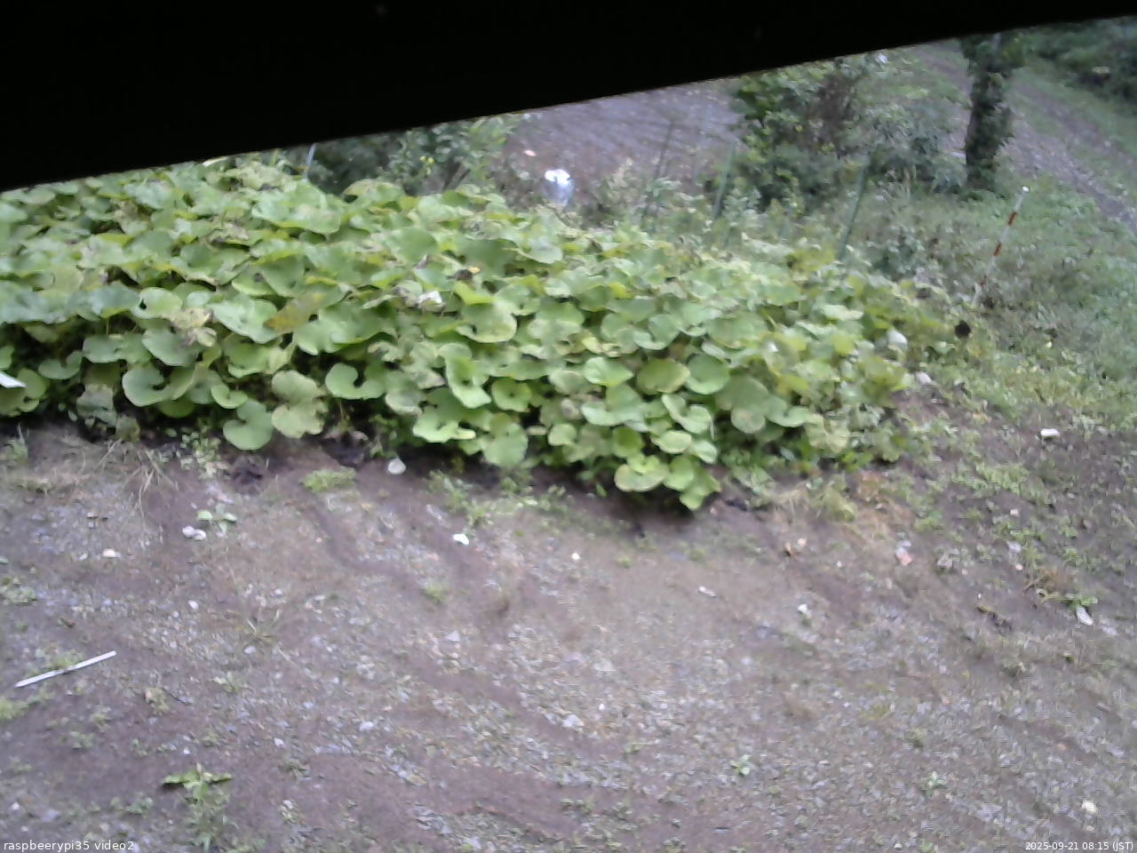 長野県菅平高原 ゆたか山荘 駐車場 2025/09/21 08:15
