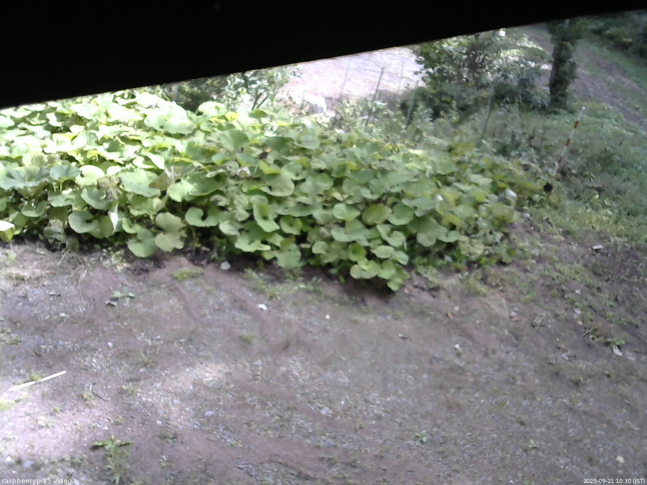 長野県菅平高原 ゆたか山荘 駐車場 2025/09/21 10:30