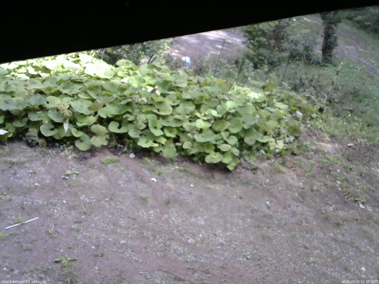 長野県菅平高原 ゆたか山荘 駐車場 2025/09/21 11:30