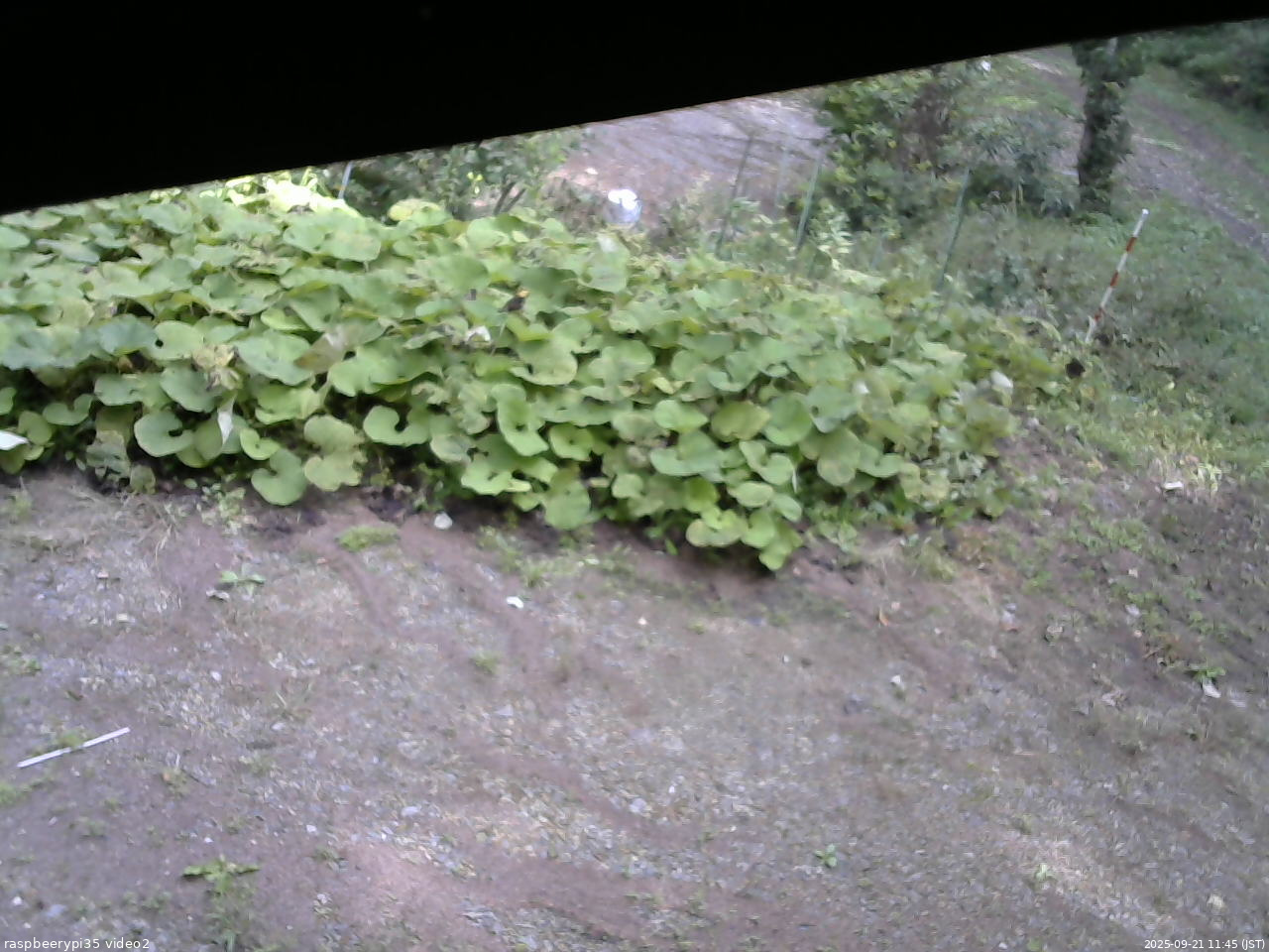 長野県菅平高原 ゆたか山荘 駐車場 2025/09/21 11:45