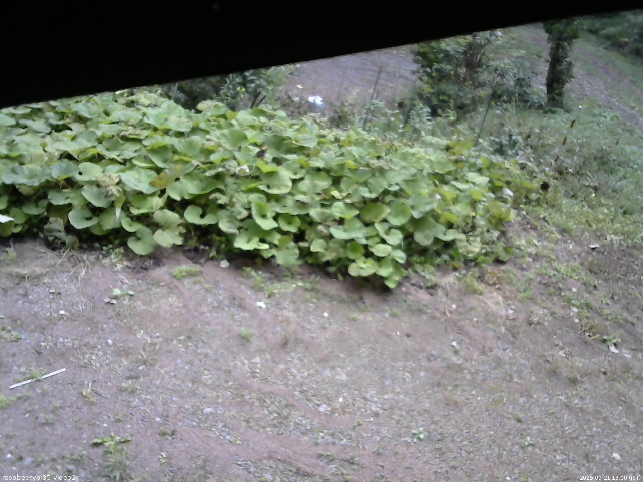 長野県菅平高原 ゆたか山荘 駐車場 2025/09/21 13:00