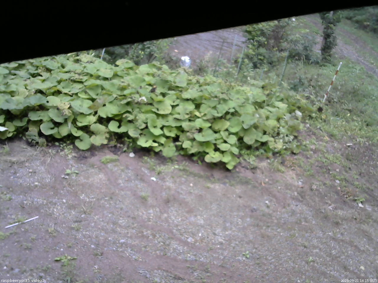 長野県菅平高原 ゆたか山荘 駐車場 2025/09/21 14:15