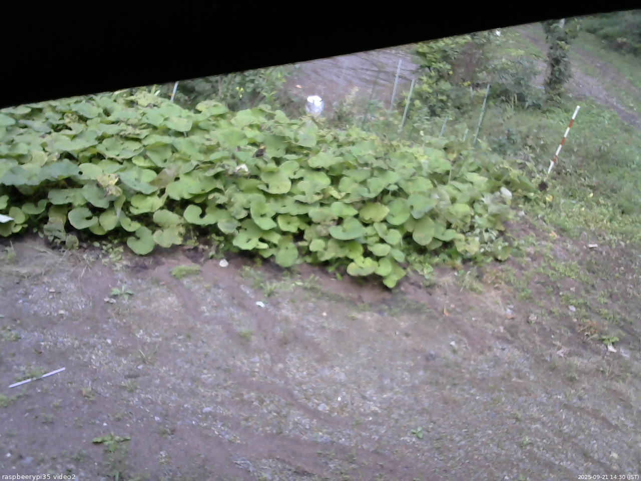 長野県菅平高原 ゆたか山荘 駐車場 2025/09/21 14:30