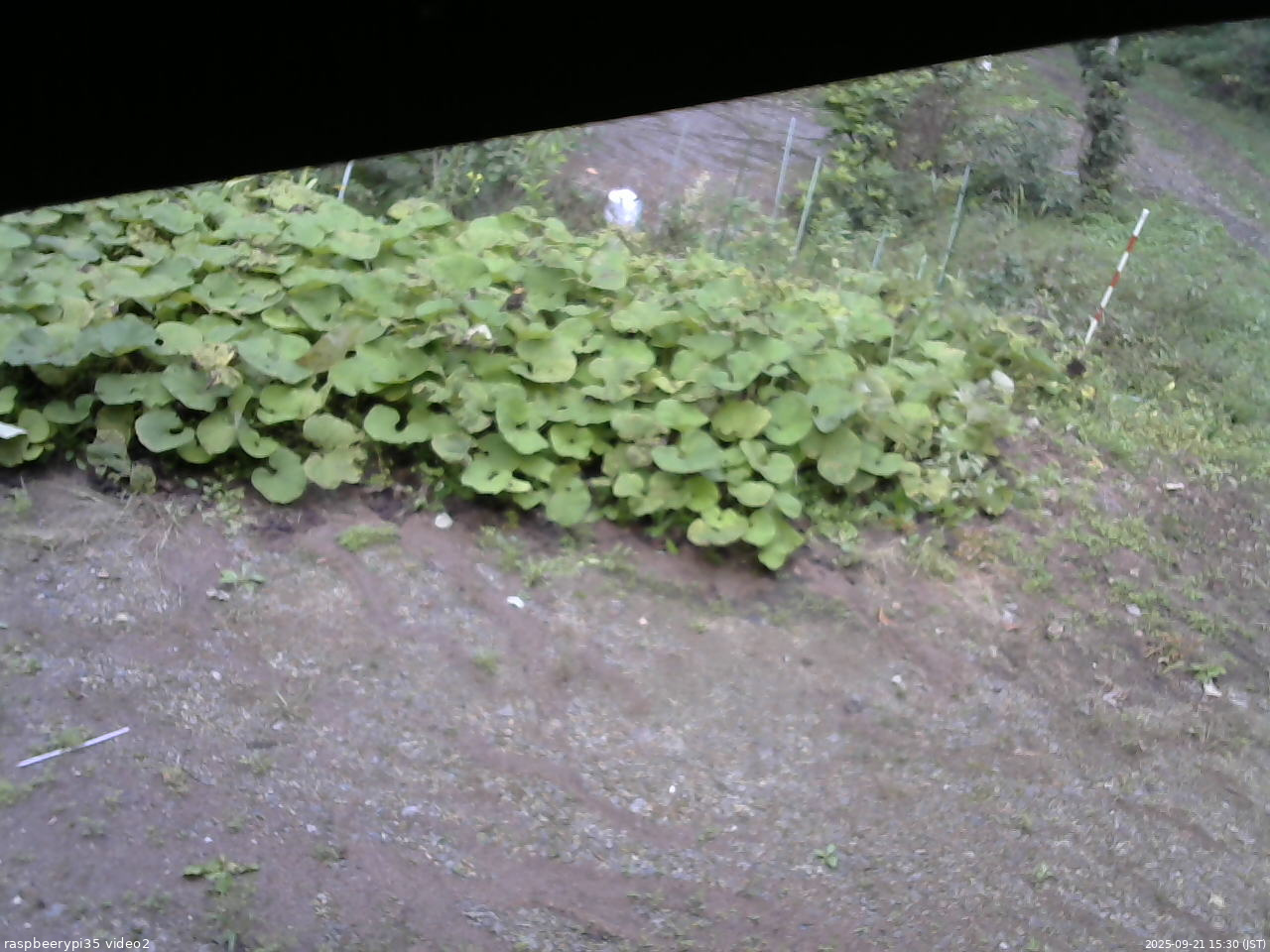 長野県菅平高原 ゆたか山荘 駐車場 2025/09/21 15:30
